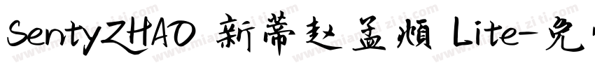 SentyZHAO 新蒂赵孟頫 Lite字体转换